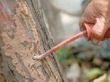 丹灶白蚁防治常用的工具解决白蚁危害的两个办法