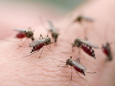 三水四害消杀中心有效灭治蚊子驱赶蚊子的小知识