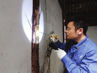 禅城白蚁防治公司房屋装修白蚁预防的重点部位