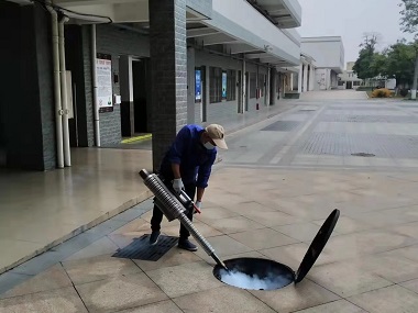 禅城有害生物控制所为什么要定期进行虫害防治