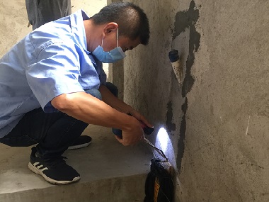 顺德灭杀白蚁公司冬天白蚁真的消失了吗？佛山街坊别被表面假象骗了